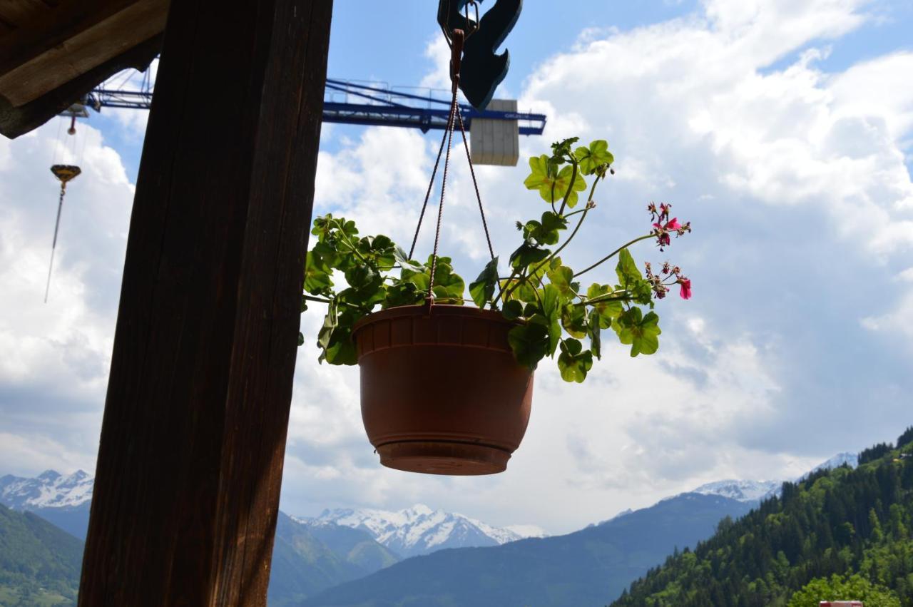 Haus Ebenberghof Apartment Zell am See Luaran gambar